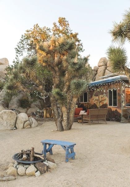 Desert Landscape Front Yard, Raspberry Juice, Desert Dweller, Yucca Valley, Desert Life, Desert Homes, High Desert, Travel Spots, Desert Landscape