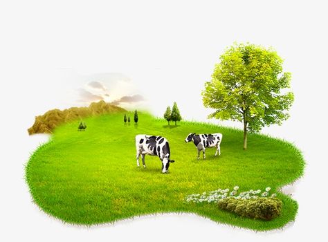 Milk Products Dairy, Milk Product Creative Ads, Milk Png, Cow Background, Milk Advertising, Iphone Wallpaper Planets, Milk Design, Cow Products, Farm Fresh Milk