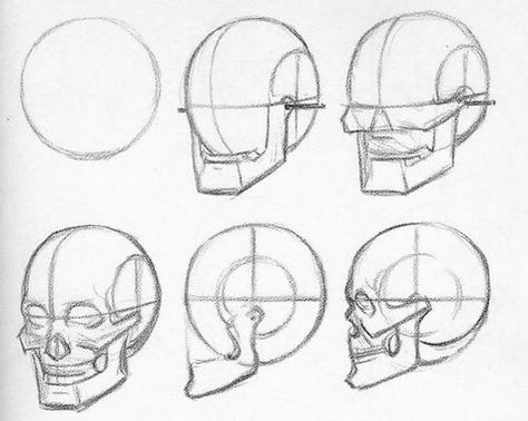 Artistic Anatomy Drawing The Human Head, Andrew Loomis, Skull Reference, Skeleton Drawings, Skulls Drawing, Anatomy Sketches, Anatomy For Artists, Human Head, Desenho Tattoo