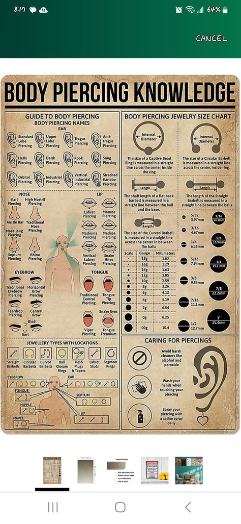 Full Body Piercing Chart, Body Piercing Knowledge, Piercing Apprenticeship, Cute Nose Piercings, Piercing Chart, Nose Piercings, Barbell Piercing, Circular Barbell, Piercing Ring