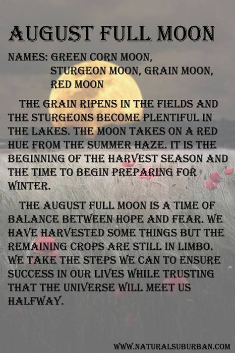 August full moon falls on the 29th this year; one day after Rosie's buriel. Rosie, I'll be looking at the moon, but I'll be seeing you.... August Full Moon, Moon Watching, Full Moon Names, Corn Moon, Sturgeon Moon, Moon Board, Moon Meaning, Moon Names, Moon Magick