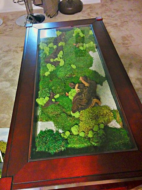 Moss Coffee Table, Terrarium Table, Moss Table, Handmade Flower Pots, Diy Moss, Beautiful Terrariums, Moss Decor, Display Coffee Table, Garden Coffee Table