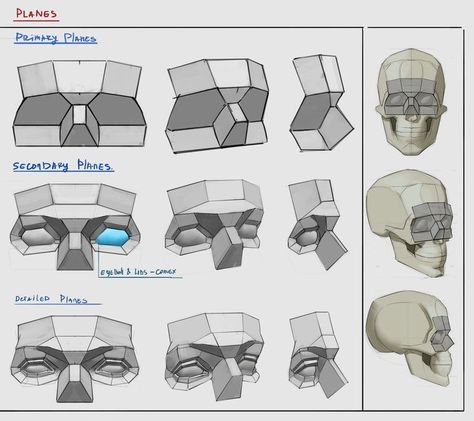 Planes Of The Face, Portrait Drawing Tips, Head Anatomy, Face Anatomy, 얼굴 드로잉, Digital Painting Techniques, Human Anatomy Drawing, 얼굴 그리기, Drawing Heads