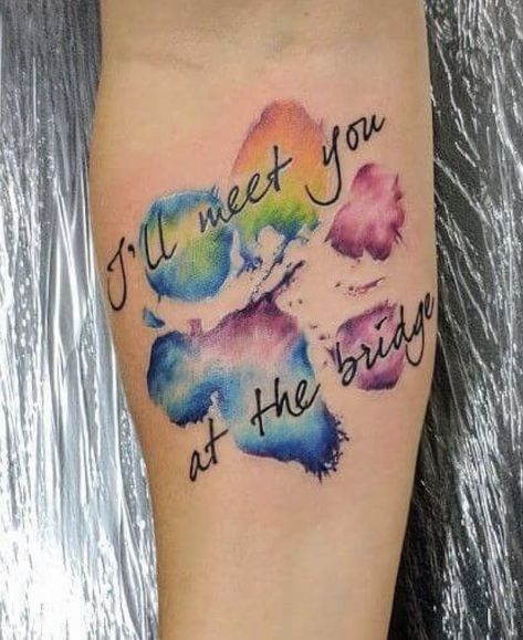 Rainbow Paw Print Tattoo, Animal Print Tattoo For Women, Bridge Tattoo Ideas, Doxie Tattoo, Animal Print Tattoo, Cat Paw Print Tattoo, Paw Tattoos, Bridge Tattoo, Pet Tattoos