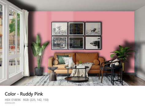 Ruddy Pink Hex Color Code: #E18E96 Munsell Color System, Valspar Colors, Analogous Color Scheme, Paint Color Codes, Rgb Color Codes, Hexadecimal Color, Choosing Paint Colours, Hex Color, Rgb Color Wheel