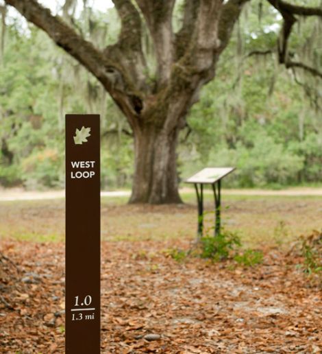 Interpretive Signage, Hotel Signage, Park Signage, Wayfinding Signage Design, Wayfinding Signs, Tree Sign, Info Board, Wayfinding Design, Wayfinding System