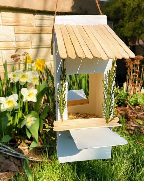 Large bird feeders