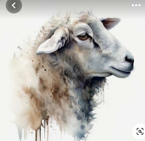 Sheep Face Drawing, Sheep Art Painting, Pictures Of Sheep, Watercolour Sheep, Sheep Watercolor, Watercolor Sheep, Animal Digital Art, Art Grouping, Farm Animal Paintings