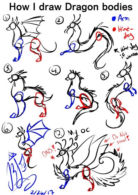 Draw A Dragon, Dragon Reference, Dragon Poses, Dragon Anatomy, Dragon Base, Paper Dragon, Tools Drawing, Wings Of Fire Dragons, Dragon Sketch