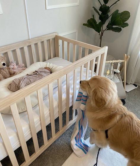 Family With Dog Aesthetic, Family Dog Aesthetic, The Wall Of Winnipeg And Me Aesthetic, Aiden And Vanessa, Dog Aesthetic, Playing For Keeps, Dog Family, Dream Family, Life Routines