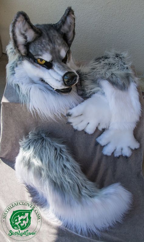 Grey werewolf fursuit costume Werewolf Fursuit, Wolf Fursuit, Keel Billed Toucan, Werewolf Costume, Wolf Costume, Spiderman Drawing, Fox Spirit, Hollywood Costume, Clothing Design Sketches