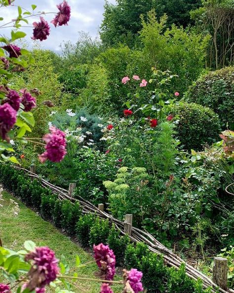 Terry Winters on Instagram: "So far I’m pleased with my experiment using Euonymus ‘Green Spire’ as an alternative to Box in creating a small border hedge. The recent drought conditions have had little effect on it although, being its first year, I have kept it watered. I had originally wanted to trial Euonymus ‘Jean Hugues’ but the cost difference between it and ‘Green Spire’ was relatively substantial. So ‘Green Spire’ was the choice. But it’s so far so good as the hedge is beginning to net Box Hedge Border, Terry Winters, Box Hedging, So Far So Good, Front Lawn, Front Garden, Hedges, Lawn Garden, First Year