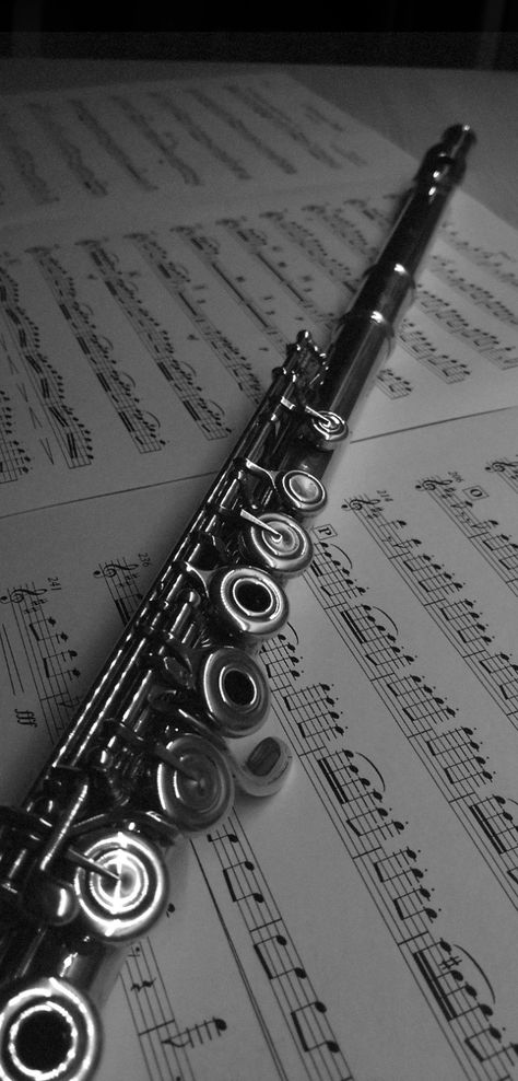 Flute Aesthetic, Flute Accessories, Transverse Flute, Wooden Flute, Flute Instrument, Band Jokes, Flute Player, Velvet Wallpaper, Flute Music