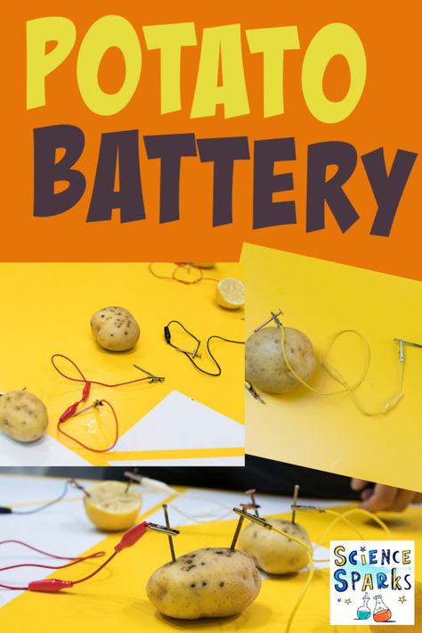 Find out how to make a potato battery. Use two potatoes, crocodile clips and an LED for this easy kids electricity project Potato Battery Science Project, Electricity Experiments For Kids, Electricity For Kids, Electricity Projects For Kids, Fourth Grade Science Projects, Diy Torch, Electricity Science Experiments, Electricity Projects, Electricity Activities