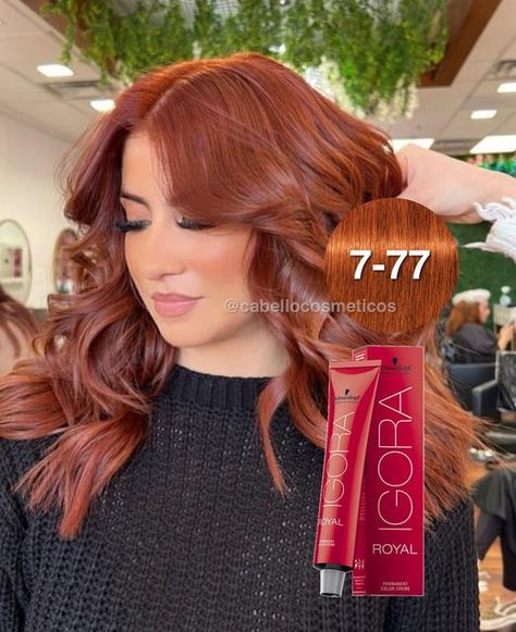 Olaplex, Fanola, BlondMe, Igora, Prokpil on Instagram: "¡LOS TONOS QUE SON TENDENCIA!😍❤️ ¡Comenta tu Favorito!💖 ¡Tenemos todo lo que necesita para tu nuevo color! Tintes Igora Royal y baño de color de Prokpil para su mantenimiento💖 ⭐️ Igora Royal es la única línea de tintes que contiene tonos cobrizos y rojos permanentes con más brillo Tonos Cobrizos y Rojos Disponibles: 🌟 8-77 Rubio Claro cobrizo intenso 🌟 9-7 Rubio muy claro Cobrizo 🌟 7-77 Rubio Medio Cobrizo Intenso 🌟 6-77 Rubio Oscuro Igora Hair Color, Matrix Hair Color, Color Block Hair, Red Copper Hair Color, Red Hair Looks, Amber Hair, Best Hairstyles For Women, Hair Color Underneath, Red Hair Inspo