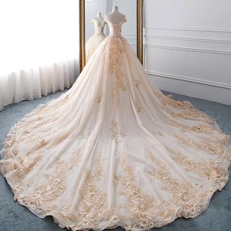 Wedding Dresses Lace Ballgown, Bridal Gowns Vintage, Beach Bridal Gown, Wedding Dress Champagne, Lace Ball Gowns, Wedding Dress Fabrics, Gowns Prom, A Line Wedding Dress, Beaded Bodice