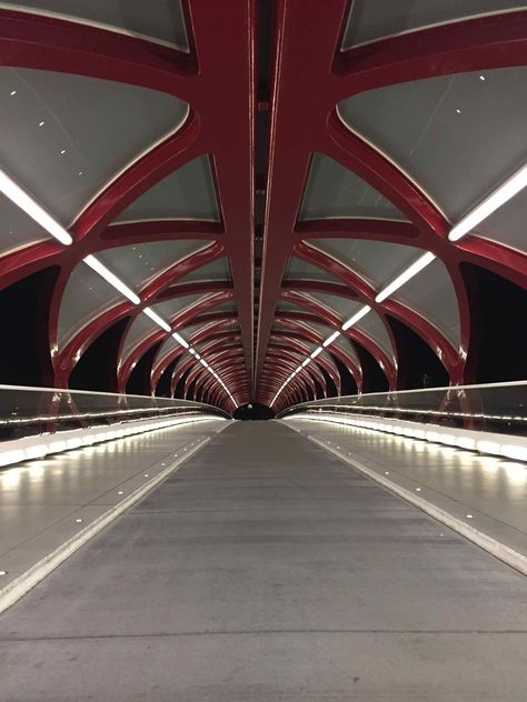 Peace Bridge in Calgary designed by architect Santiago Calatrava Peace Bridge, Calgary Stampede, Santiago Calatrava, Island Park, Victoria Park, Calgary Alberta, Round The World, Food Tours, Canada Travel