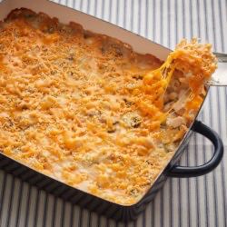 Turkey Casserole Cream Of Chicken Casserole, Ground Turkey Casserole, Turkey Casserole Recipes Leftover, Turkey Casserole Recipe, Leftover Turkey Casserole, Leftover Turkey Soup, Braised Chicken Breast, Turkey Soup Recipe, Chicken Tikka Masala Recipes