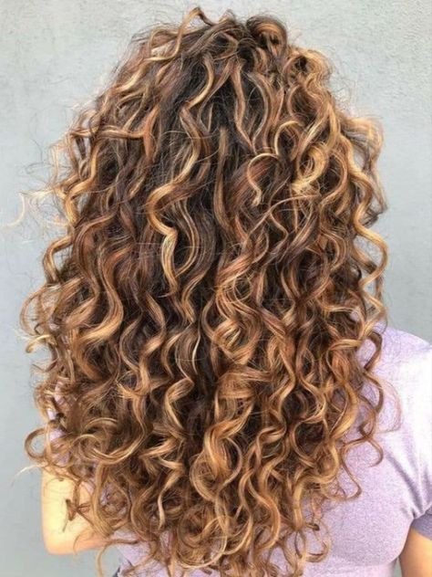 Naturally Curly Hair With Blonde Highlights, Auburn Curly Hair With Highlights, Mid Length Curly Hair Balayage, Dimensional Highlights Curly Hair, Honey Highlights On Brown Hair Curly, Auburn Balayage Curly Hair, Highlights Natural Curly Hair, Curly Brown Hair Highlights, Curly Hair Copper Highlights