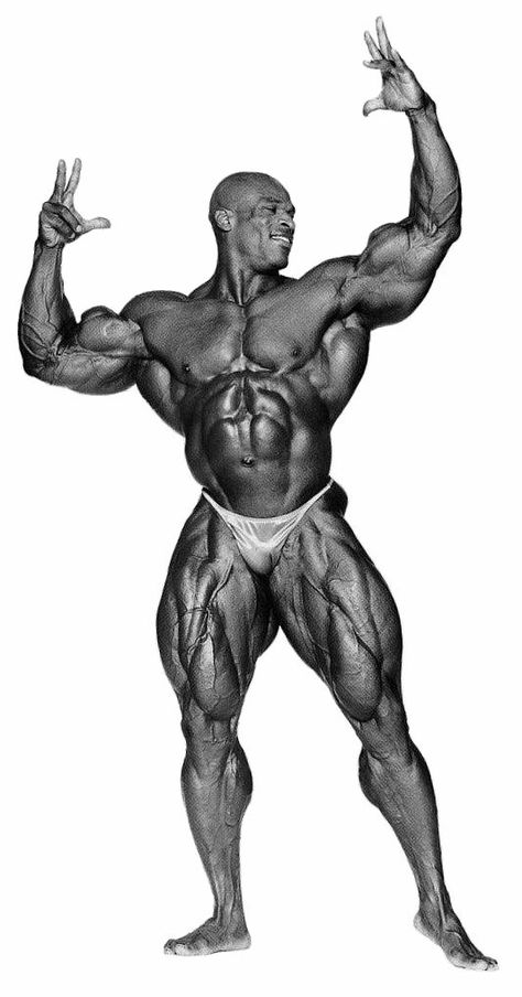 1999 - Ronnie Coleman, USA (13 May 1964), height 5-foot-11 (180 cm) - Winner of the Mr Olympia Mr Olympia Bodybuilding, Dexter Poster, Mr Olympia Winners, Olympia Bodybuilding, Gym Motivation Wallpaper, Gym Wallpaper, Bodybuilding Pictures, Gym Poster, Ronnie Coleman