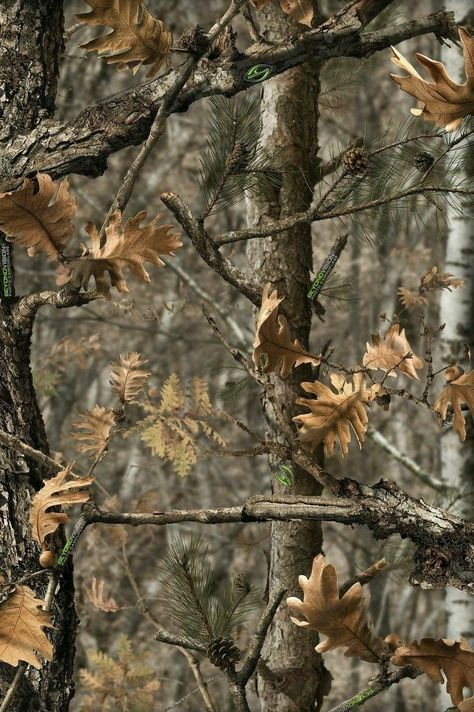 Camo Aesthetic Background, Hunting Backgrounds, Camo Aesthetic, Hunting Wallpaper, Decent Wallpapers, Country Backgrounds, Camo Wallpaper, Hunting Camouflage, Real Tree Camouflage