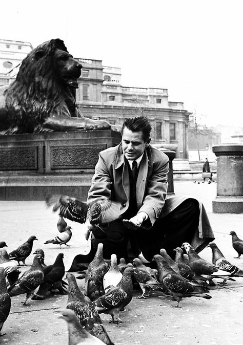 Glenn Ford feeding pigeons in Trafalgar Square in London Feeding Pigeons, Glenn Ford, Hollywood Vintage, Old Hollywood Movies, Trafalgar Square, Golden Age Of Hollywood, Hollywood Actor, Famous Faces, Old Movies