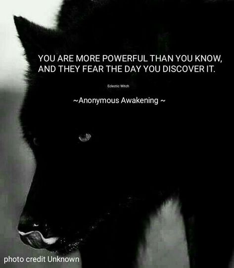 Wolf Pack Quotes, Inspirational Animal Quotes, Lup Singuratic, Lone Wolf Quotes, Wolf Quotes, Strong Mind Quotes, Warrior Quotes, Lone Wolf, Badass Quotes