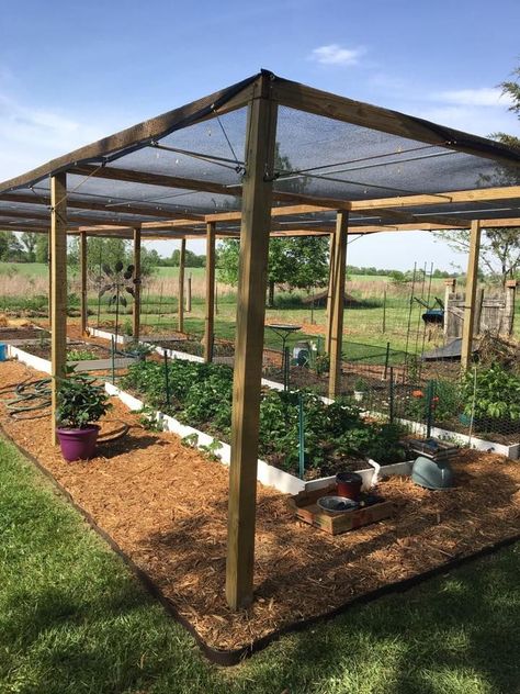 everything you need for the home garden of your dreams Backyard Greenhouse, Garden Area, Veg Garden, Home Vegetable Garden, Garden Yard Ideas, Vegetable Garden Design, Fruit Garden, Garden Structures, Garden Layout