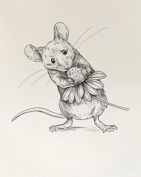 Realistic Mouse Drawing, Fairy Mouse Drawing, Cute Mouse Drawing, Surprise Birthday Trip, Bat Drawing, Mouse Tattoo, Hook Ideas, Beatrix Potter Illustrations, Mouse Sketch