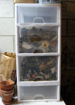 Worm bin made from plastic drawers. Vermiculture Worm Farm, Chicken Coop Easy, Worm Farm Diy, Worm Beds, Worm Composting Bin, Make Compost, Chicken Feeder Diy, Worm Bin, Raising Canes