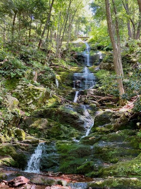 Buttermilk Falls, Delaware Water Gap, Backcountry Camping, Delaware River, Us Destinations, Swimming Holes, Outdoor Playground, Canoe And Kayak, Scenic Drive