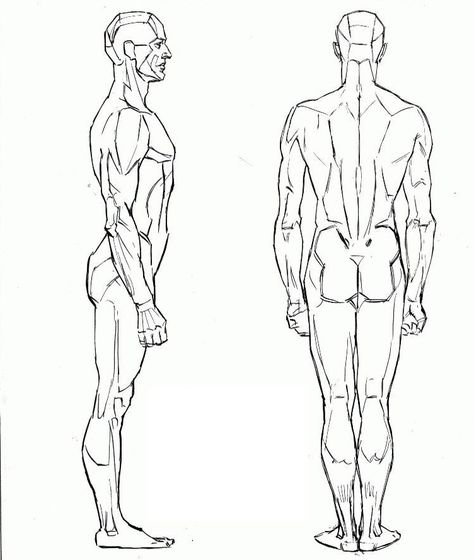 Les proportions du corps | leflux.fr Andrew Loomis, Sketching Techniques, Art Appliqué, Royal Art, Body Reference Drawing, Body Drawing, Figure Drawing Reference, Anatomy Reference, Body Reference