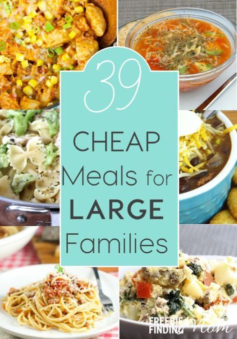 Have a big family but a small budget? No problem! Here are 39 cheap meals for large families that are sure to inspire you. You’ll find crockpot recipes, chicken recipes, pasta recipes, and more! Cheap Meals For Large Families, Meals For Large Families, Large Family Meals, Budget Recipes, Inexpensive Meals, Large Families, Cooking For A Crowd, Cheap Dinners, Cooking On A Budget