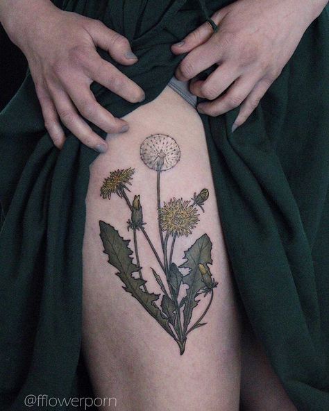 Dotwork Tattoo Mandala, Plants Tattoo, Tattoo Pretty, Tattoo Thigh, Tattoo Nature, Dandelion Tattoo, Trendy Plants, Plant Tattoo, Botanical Tattoo