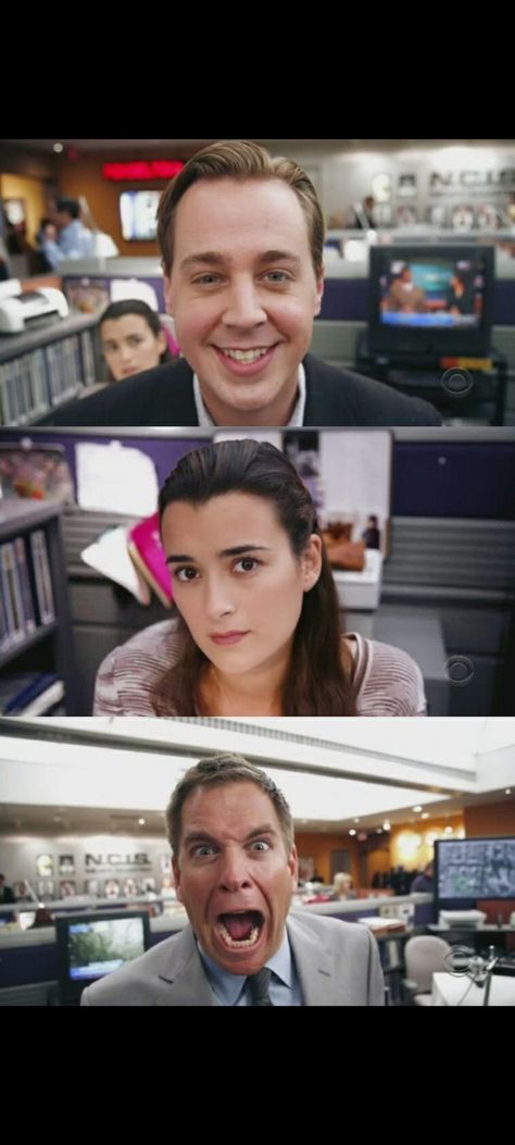 Abby Ncis Aesthetic, Ncis Fanart, Ncis Wallpaper, Ncis Rules, Ncis Funny, Anthony Dinozzo, Timothy Mcgee, Ncis Characters, Gibbs Rules