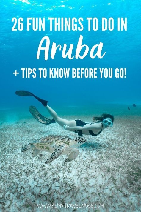 Visiting Aruba soon? Here are 26 fun things to do in Aruba, plus insider tips you must know before you go. See where the best beaches, unique spots like caves, natural pool, bridges, restaurants, and snorkeling/scuba diving spots are. If you are planning an Aruba itinerary, this list will help you figure out the best things to do in the country. #Aruba Aruba Restaurants, Aruba Honeymoon, Eagle Beach Aruba, Things To Do In Aruba, Visit Aruba, Aruba Travel, Best Snorkeling, Caribbean Vacations, Caribbean Travel