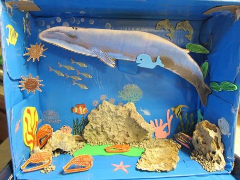 pet habitat diorama | Nora's Habitat Diorama - The Blue Whale Habitat Diorama, Ocean Diorama, Diorama Kids, Ecosystems Projects, Habitats Projects, Ocean Habitat, Ocean Projects, Ocean Scenes, Animal Habitats