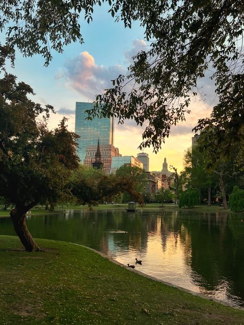 boston
new england
garden
coastal cities
new england summer
end of summer
golden hour 
fall bucket list Nature Aesthetic Sunset, Summer Golden Hour, Boston Aesthetic, England Garden, New England Garden, New England Summer, Boston Public Garden, Sunset City, Coastal Cities