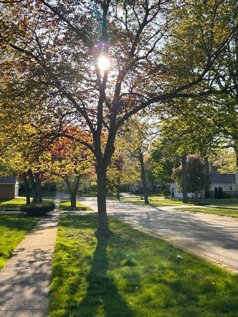 Small Town Neighborhood Aesthetic, Old Neighborhood Aesthetic, Small Neighborhood Aesthetic, Small Town Neighborhood, Small Island Aesthetic, Cute Small Town Aesthetic, Summer Neighborhood Aesthetic, Small Town High School Aesthetic, Liminal Neighborhood