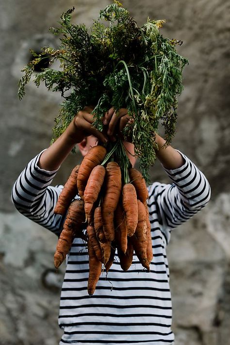 The Ecological Balance Of Organic Food: Behind The Scenes With An Organic Farmer // "We’ve lost our connection to food. We’ve isolated ourselves from the natural environment and we need to reconnect." Benefits Of Organic Food, Organic Farm, Organic Makeup, Organic Food, Trik Fotografi, Sleep Deprivation, Organic Farming, Kitchen Garden, Natural Environment