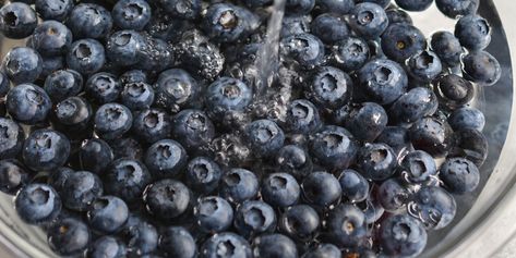 How to Wash and Store Blueberries for Maximum Freshness — Country Living Wash Blueberries, Blueberry Video, Summer Fruit Recipes, Holiday Entertaining Food, Country Living Fair, Blue Berries, Fresh Summer, Garden Edging, Holiday Entertaining