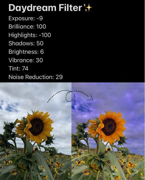 Lightroom Presets Iphone Editing Pictures Fall, Autumn Filter Iphone, Fall Vsco, Pic Edits, Editing Hacks, Photo Adjustments, Picture Lighting, Quality Improvement, Selfie Filters