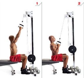 close grip pulldowns Best Back Workout, Gym Back Workout, Back And Shoulder Workout, Good Back Workouts, Cable Row, 28 Day Challenge, Improve Your Posture, Strong Core, Better Posture