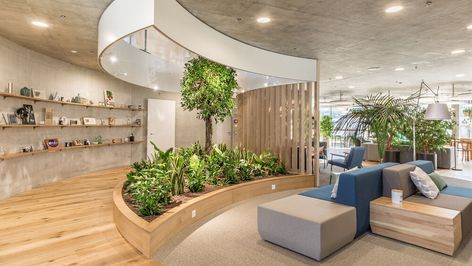 Modern Organic Bedroom, Biophilic Architecture, Dream House Garden, Hospital Interior, Biophilic Design, Hospital Interior Design, Hospital Design, Clinic Design, Cafe Shop