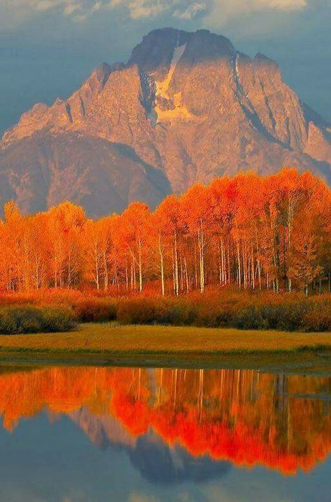 Fall  colors in Grand  Tetons, Wyoming Elven Aesthetic, Jackson Hole Wyoming, Jackson Hole, Alam Yang Indah, Still Water, Pretty Places, Mountain Landscape, Vacation Spots, Fall Autumn