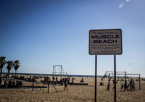 Santa Monica/Venice Beach Muscle Beach California, Venice Beach California, South America Destinations, Muscle Beach, Los Angeles Beaches, Beach Read, Santa Monica Beach, Beach Santa, Surf Camp