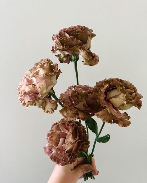 Light Brown Lisianthus, Roseanne Brown Lisianthus, Brown Lisianthus, Lisianthus Flower, Brown Flower, 31st Wedding Anniversary, Nyc Flower Market, Long Stem Flowers, Flower Bar