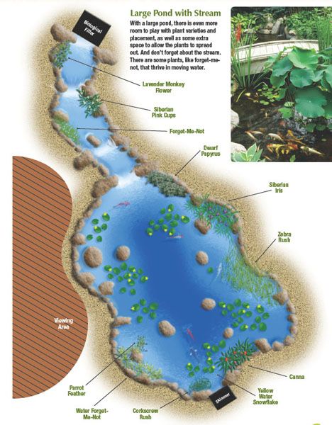 How to Plant a Large Pond Koi Pond Design, Large Pond, Kolam Koi, Taman Air, Natural Swimming Ponds, Garden Pond Design, Diy Pond, Pond Waterfall, Pond Water Features