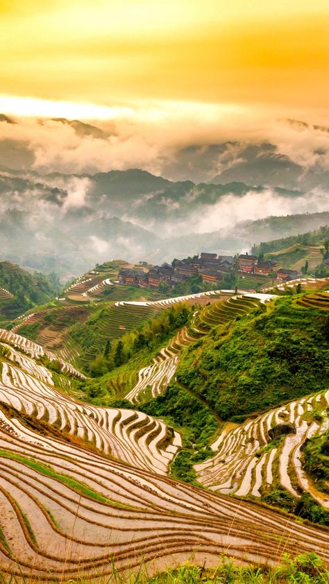 Japan Rice Field, Guangxi China, Vietnamese Rice, Book Journaling, Regenerative Agriculture, Rice Field, Guilin, Rice Terraces, Wide World