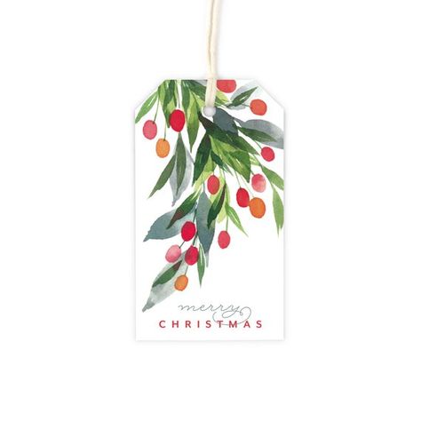 Watercolor Holly - Holidays / Christmas Gift Tag Set - 8 gift tags, 2x3.5 inches Christmas Tag Watercolor, Painted Gift Tags Christmas, Watercolor Christmas Gift Tags Diy, Christmas Watercolor Tags, Christmas Tags Watercolor, Christmas Watercolor Gift Tags, Watercolour Christmas Tags, Watercolor Gift Tags Christmas, Christmas Bookmarks Watercolor